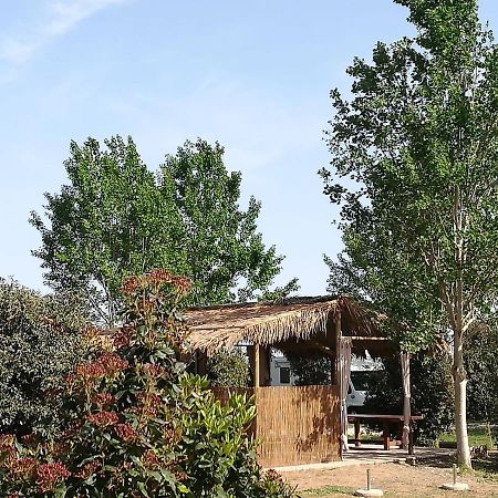 Bnatural Glamping Naturista/Nudista Baratti Exterior foto