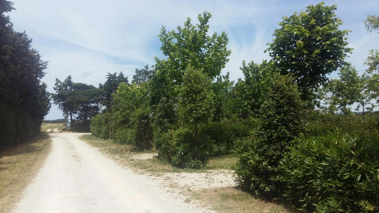 Bnatural Glamping Naturista/Nudista Baratti Exterior foto