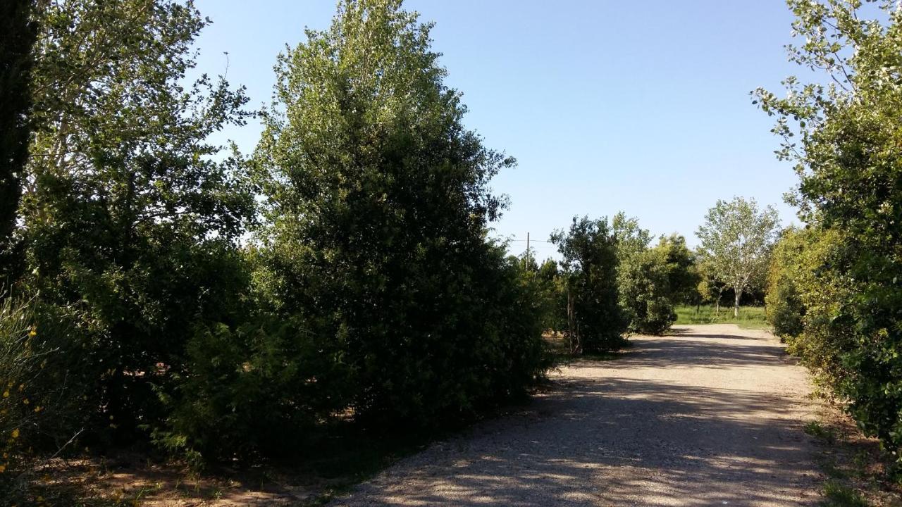 Bnatural Glamping Naturista/Nudista Baratti Exterior foto