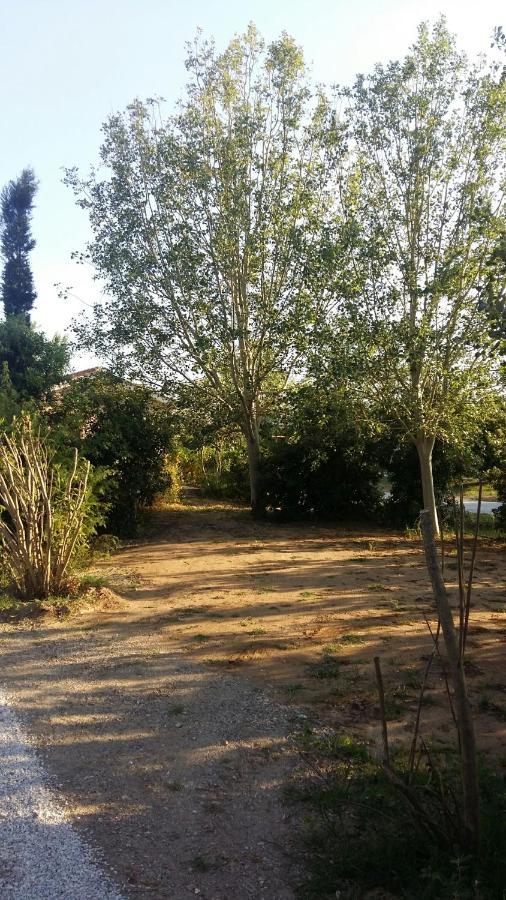 Bnatural Glamping Naturista/Nudista Baratti Exterior foto